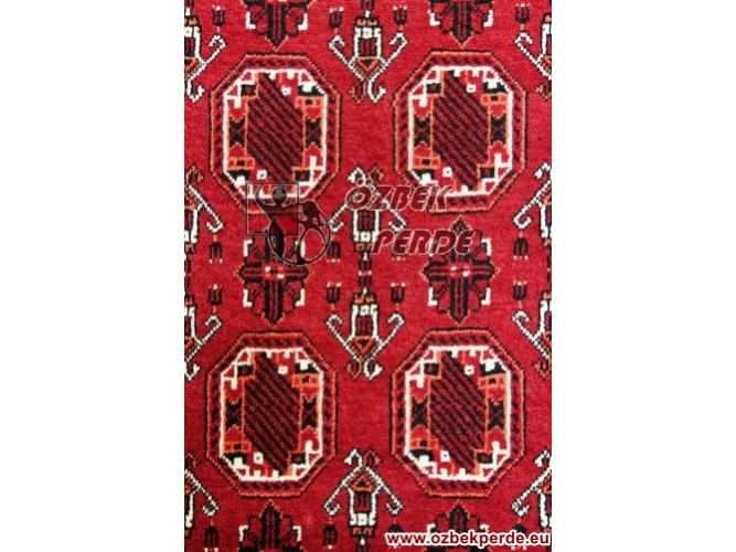 Red Rug Baskılı Halı